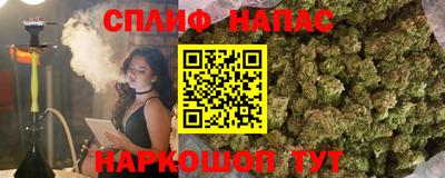 прущие крисы Кандалакша