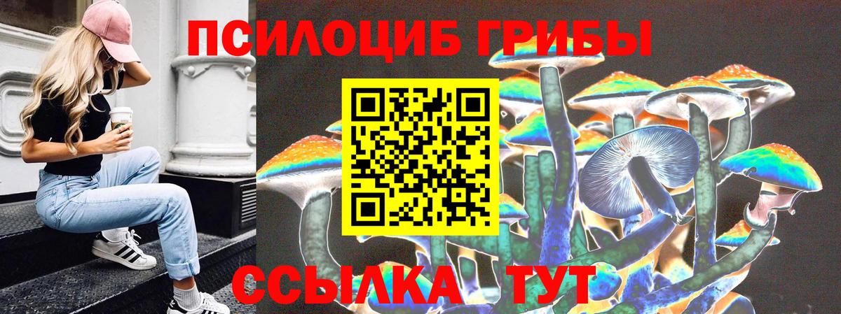 Кстово  Псилоцибиновые грибы мухоморы  Вход с VPN 